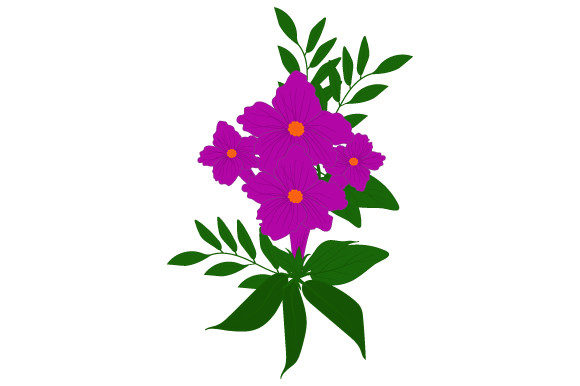 Exploring the Versatility and Beauty of Purple Color Flower Illustration